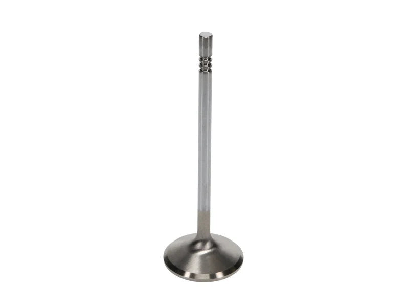 Manley Ford 4.6L 38.5mm Race Master & Extreme Duty Exhaust Valves *Set of 8* - Back View
