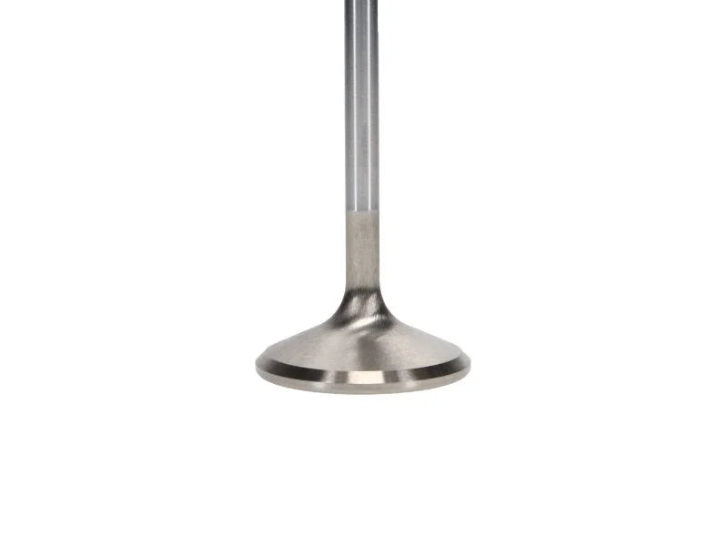 Manley Ford 4.6L 38.5mm Race Master & Extreme Duty Exhaust Valves *Set of 8* - Installation View