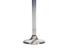 Load image into Gallery viewer, Manley Ford 4.6L DOHC (4 Valve) Triple Groove 37mm Race Master Intake Valves - Side View