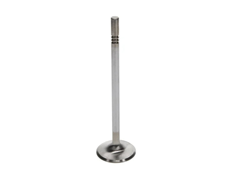 Manley Ford 4.6L DOHC (4 Valve) Triple Groove 37mm Race Master Intake Valves - Back View