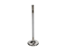 Load image into Gallery viewer, Manley Ford 4.6L DOHC (4 Valve) Triple Groove 37mm Race Master Intake Valves - Back View