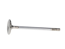 Load image into Gallery viewer, Manley Ford 4.6L DOHC (4 Valve) Triple Groove 37mm Race Master Intake Valves - Additional View 5