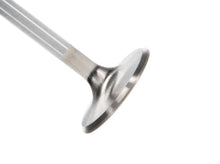 Load image into Gallery viewer, Manley Ford 4.6L DOHC (4 Valve) Triple Groove 37mm Race Master Intake Valves - Single - Main Product View