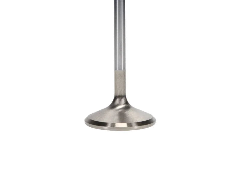 Manley Ford 4.6L Modular V8 Exhaust Valve Kit - 38.50mm Head Dia. 4.585in O/A Length, 0.2345in Stem - Back View