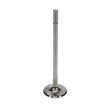 Load image into Gallery viewer, Manley Ford 4.6L/5.4L DOHC 4V 37mm Dia 5.339in Length Bead Loc Race Master Intake Valves (Set of 8) - Back View