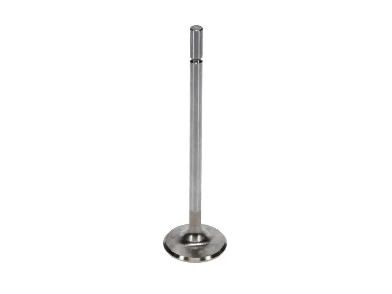 Manley Ford 4.6L/5.4L DOHC 4V 37mm Dia 5.339in Length Bead Loc Race Master Intake Valves (Set of 8) - Back View