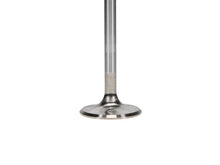 Load image into Gallery viewer, Manley Ford 4.6L/5.4L DOHC 4V 37mm Dia 5.339in Length Bead Loc Race Master Intake Valves (Set of 8) - Additional View 5