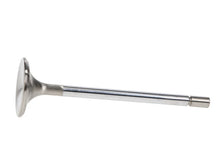Load image into Gallery viewer, Manley Ford 4.6L/5.4L SOHC (2 Valve) 96-98 w/Bead Loc Groove 36mm Race Master Exhaust Valve - Single - Back View