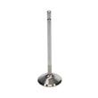 Load image into Gallery viewer, Manley Ford 4.6L/5.4L Small Block SOHC Extreme Duty Exhaust Valves (Set of 8) - Side View