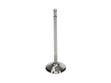 Load image into Gallery viewer, Manley Ford 4.6L/5.4L Small Block SOHC Extreme Duty Exhaust Valves (Set of 8) - Side View