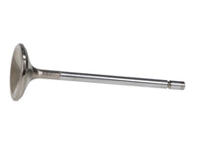 Load image into Gallery viewer, Manley Ford 4.6L/5.4L Small Block SOHC Extreme Duty Exhaust Valves (Set of 8) - Back View