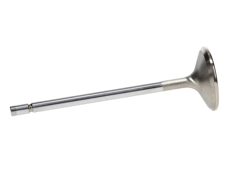 Manley Ford 4.6L/5.4L Small Block SOHC Extreme Duty Exhaust Valves (Set of 8) - Installation View