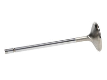Load image into Gallery viewer, Manley Ford 4.6L/5.4L Small Block SOHC Extreme Duty Exhaust Valves (Set of 8) - Installation View
