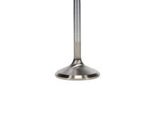 Load image into Gallery viewer, Manley Ford 4.6L/5.4L Small Block SOHC Extreme Duty Exhaust Valves (Set of 8) - Additional View 6