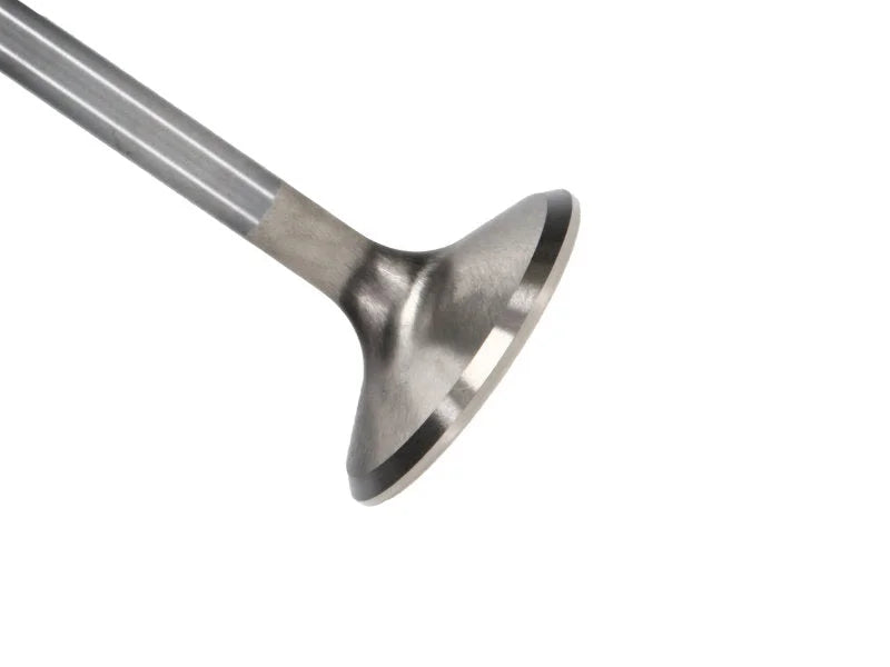 Manley Ford 6.2L 42mm Diameter 5.356in O/A Length Bead Lock Race Master Exhaust Valves (Set of 8) - Main Product View