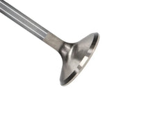 Load image into Gallery viewer, Manley Ford 6.2L 42mm Diameter 5.356in O/A Length Bead Lock Race Master Exhaust Valves (Set of 8) - Main Product View