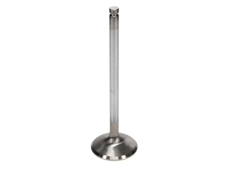 Manley Ford 6.2L 42mm Diameter 5.356in O/A Length Bead Lock Race Master Exhaust Valves (Set of 8) - Side View