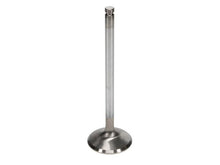 Load image into Gallery viewer, Manley Ford 6.2L 42mm Diameter 5.356in O/A Length Bead Lock Race Master Exhaust Valves (Set of 8) - Side View