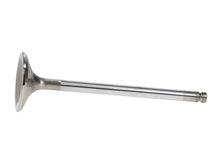 Load image into Gallery viewer, Manley Ford 6.2L 42mm Diameter 5.356in O/A Length Bead Lock Race Master Exhaust Valves (Set of 8) - Installation View