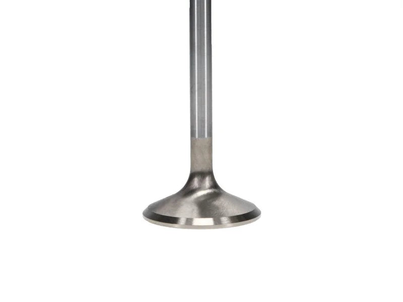 Manley Ford 6.2L 42mm Diameter 5.356in O/A Length Bead Lock Race Master Exhaust Valves (Set of 8) - Additional View 5