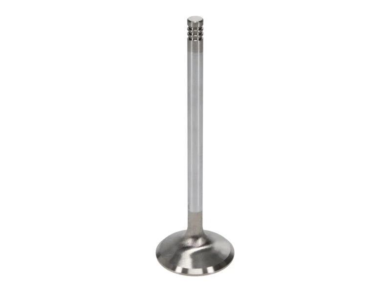 Manley Ford 6.2L 42mm Diameter 5.356in O/A Length Race Master Exhaust Valves (Set of 8) - Side View