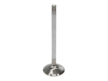Load image into Gallery viewer, Manley Ford 6.2L 42mm Diameter 5.356in O/A Length Race Master Exhaust Valves (Set of 8) - Side View