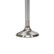 Load image into Gallery viewer, Manley Ford 6.2L 42mm Diameter 5.356in O/A Length Race Master Exhaust Valves (Set of 8) - Back View
