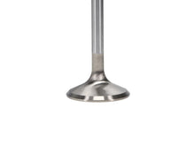 Load image into Gallery viewer, Manley Ford 6.2L 42mm Diameter 5.356in O/A Length Race Master Exhaust Valves (Set of 8) - Back View