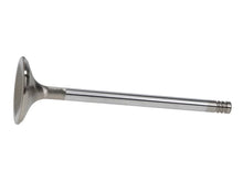 Load image into Gallery viewer, Manley Ford 6.2L 42mm Diameter 5.356in O/A Length Race Master Exhaust Valves (Set of 8) - Additional View 6