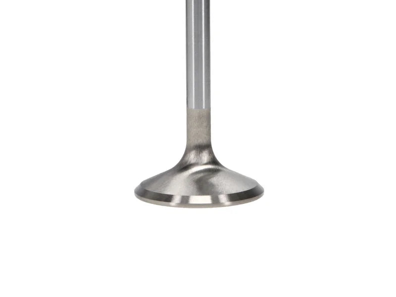 Manley Ford 6.2L Race Master Intake Valves 43mm HD B (Set of 8) - Back View