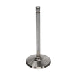 Load image into Gallery viewer, Manley Ford Boss 429 Stainless Steel Race Master Intake Valves 2.400 Head Dia 5.570 OA Lgt-Set of 8 - Back View