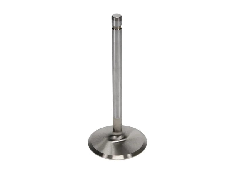 Manley Ford Boss 429 Stainless Steel Race Master Intake Valves 2.400 Head Dia 5.570 OA Lgt-Set of 8 - Back View
