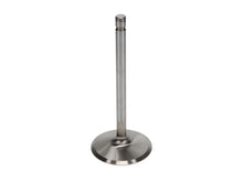 Load image into Gallery viewer, Manley Ford Boss 429 Stainless Steel Race Master Intake Valves 2.400 Head Dia 5.570 OA Lgt-Set of 8 - Back View