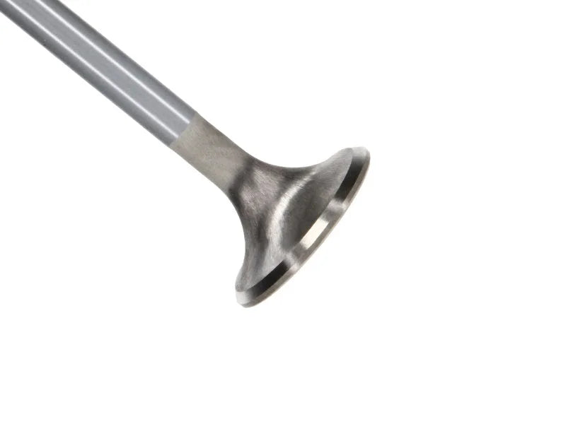 Manley Ford Coyote 5.0L DOHC 4 Valve 31mm Triple Groove Race Master Exhaust Valves (Set of 8) - Main Product View