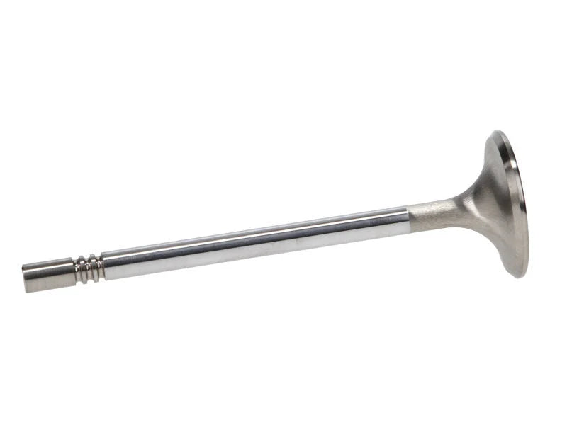 Manley Ford Racing Cylinder Head 4.6L & 5.4L SOHC 36.0mm Race Master Exhaust Valve (Single) - Back View