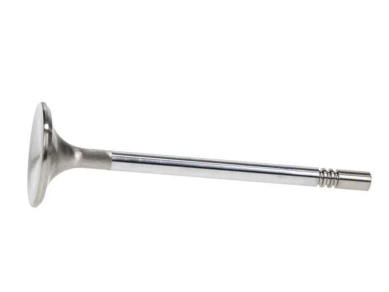 Manley Ford Racing Cylinder Head 4.6L & 5.4L SOHC 36.0mm Race Master Exhaust Valve (Single) - Additional View 5