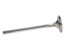Load image into Gallery viewer, Manley Ford Racing Cylinder Head 4.6L &amp; 5.4L SOHC 36.0mm Race Master Exhaust Valves *Set of 8* - Back View