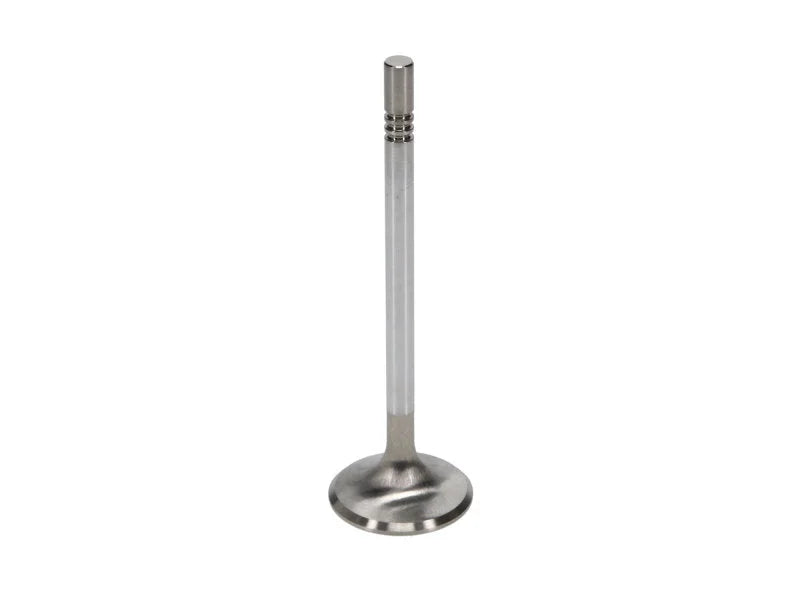 Manley Ford Racing Cylinder Head 4.6L & 5.4L SOHC 36.0mm Race Master Exhaust Valves *Set of 8* - Installation View