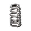 Load image into Gallery viewer, Manley GM LS Series Super Finished H.P. Valve Springs .650 Max Lift (16 Pieces) - Back View