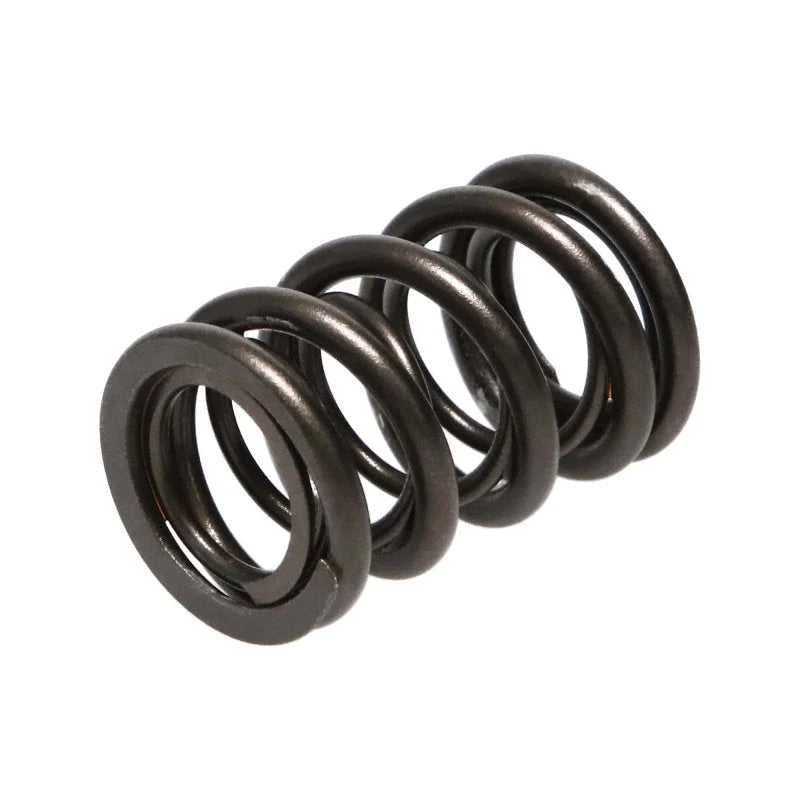 Manley Honda B Series Non V-Tec 16pc Valve Springs - Back View