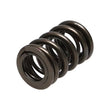 Load image into Gallery viewer, Manley Honda (H33 V-Tec) 16pc Valve Springs - Side View