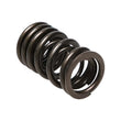 Load image into Gallery viewer, Manley Honda (K20A K20Z) 16pc Valve Springs - Main Product View