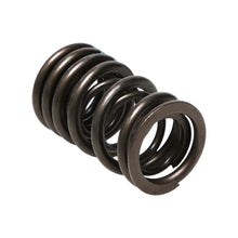 Load image into Gallery viewer, Manley Honda (K20A K20Z) 16pc Valve Springs - Main Product View