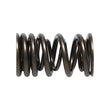 Load image into Gallery viewer, Manley Honda (K20A K20Z) 16pc Valve Springs - Installation View