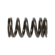 Load image into Gallery viewer, Manley Mitsubishi 4B11T 16pc Valve Springs - Back View