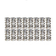 Load image into Gallery viewer, Manley NexTek Series 1.500 OD .850 Lift Super Stock and Competition Eliminator Valve Spring Set - Additional View 5