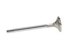 Load image into Gallery viewer, Manley Nissan 2.6L Inline 6-24 Valve (RB26DET/T) Exhaust 30.15mm Stainless Race Flo Valves - Back View