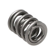 Load image into Gallery viewer, Manley Nissan (KA24DE) 16pc Valve Springs - Main Product View