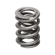 Load image into Gallery viewer, Manley Nissan (KA24DE) 16pc Valve Springs - Side View