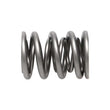 Load image into Gallery viewer, Manley Nissan (KA24DE) 16pc Valve Springs - Back View